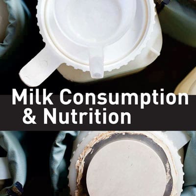 consumption-and-nutrition