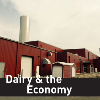 dairy-economy