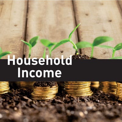 house-hold-income