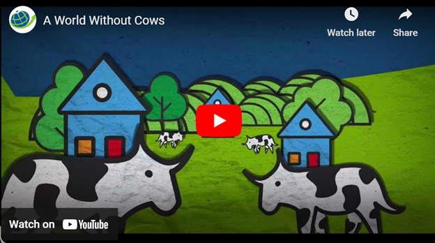 World Without Cows - Sustainability