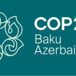 COP29