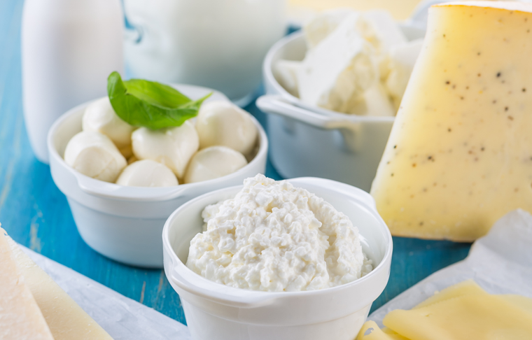 Processed Foods, Dairy, and Dietary Patterns