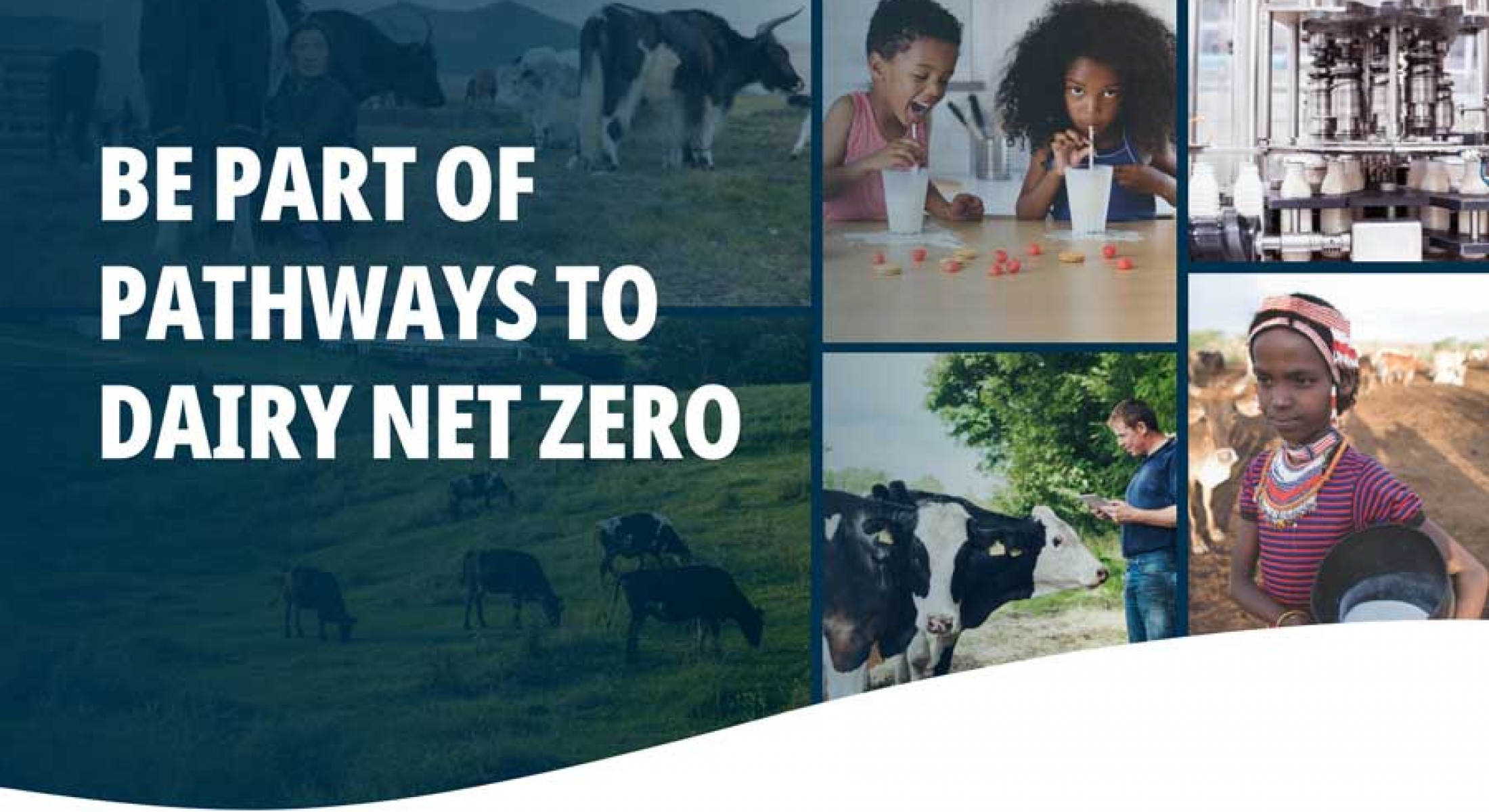 Pathways to Dairy Net Zero global dairy platform